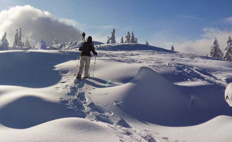 Snowshoe Poles Vs Trekking Poles Appalachian Mountain Club