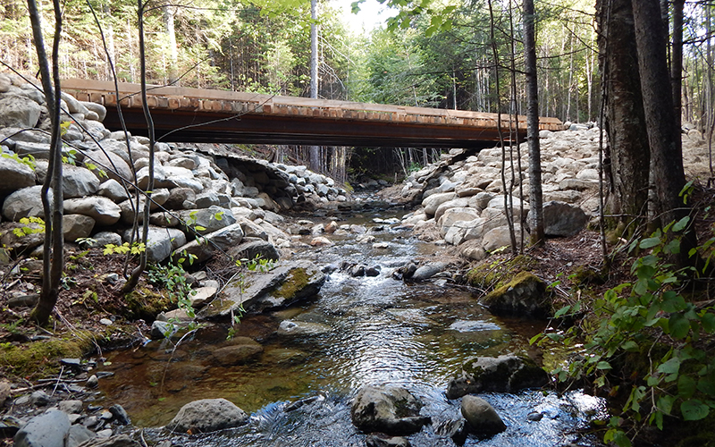 AMC Restores Maine Brook Trout Habitat Appalachian Mountain Club
