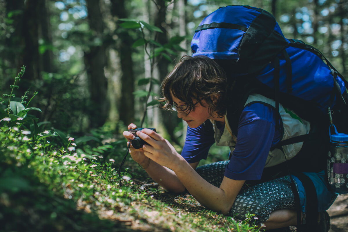 iNaturalist.