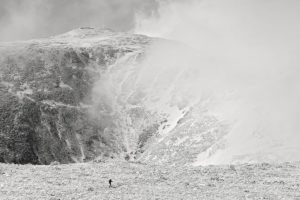 Pc2020 Philip Carcia Looking Up And Looking In
