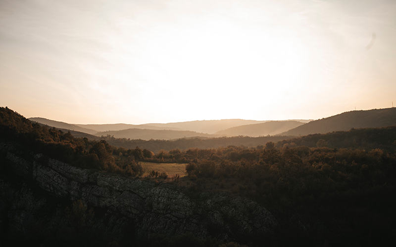 Virginia is widely seen as a leader in transitioning to low-carbon energy sources.
