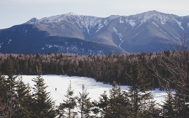 New Hampshire's White Mountain National Forest