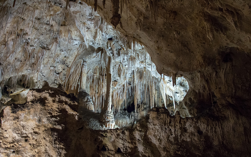 Carlsbad Caverns in New Mexico