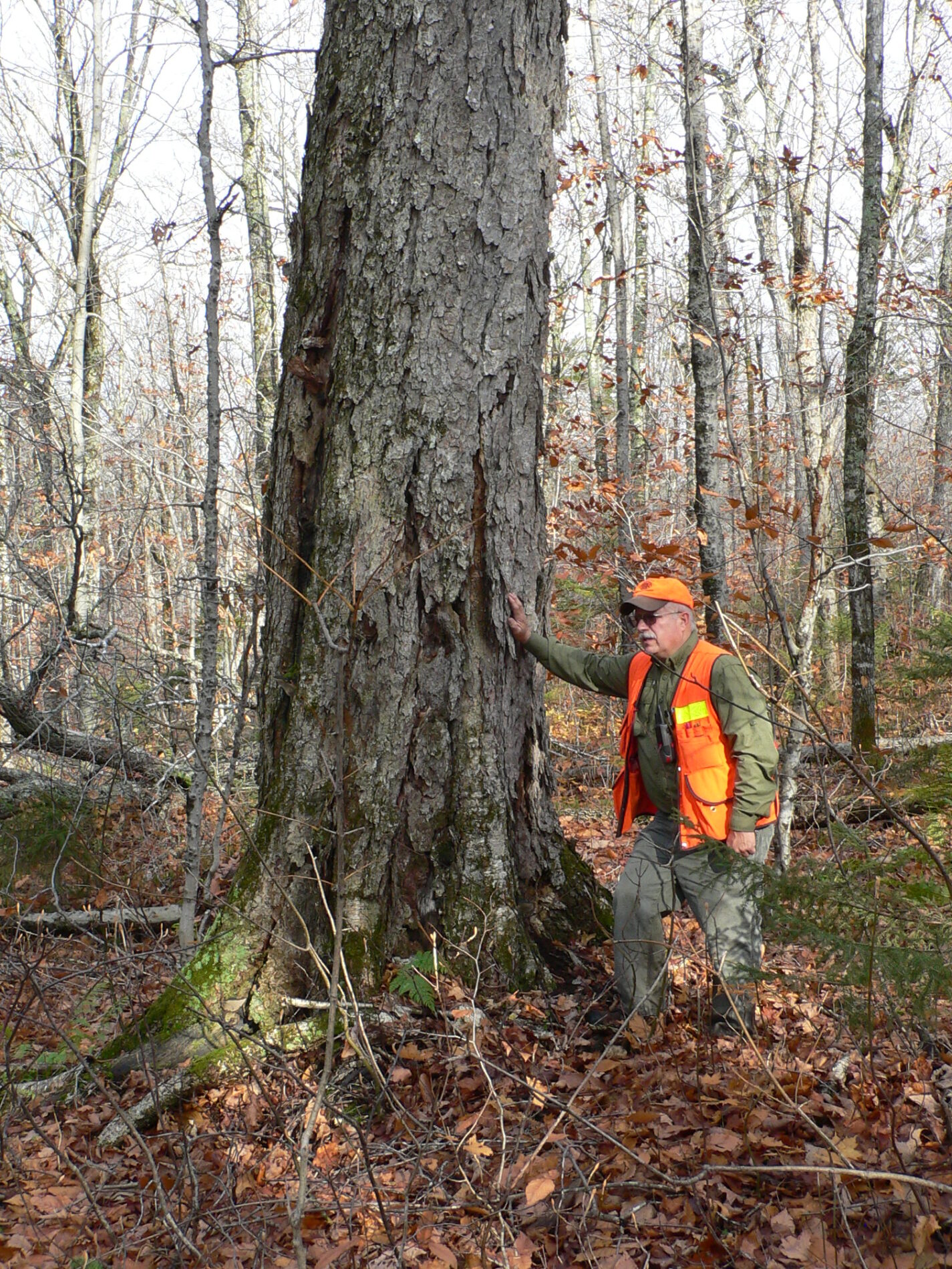 Maine native Ted Shina, a forester for Huber Resources Corporation