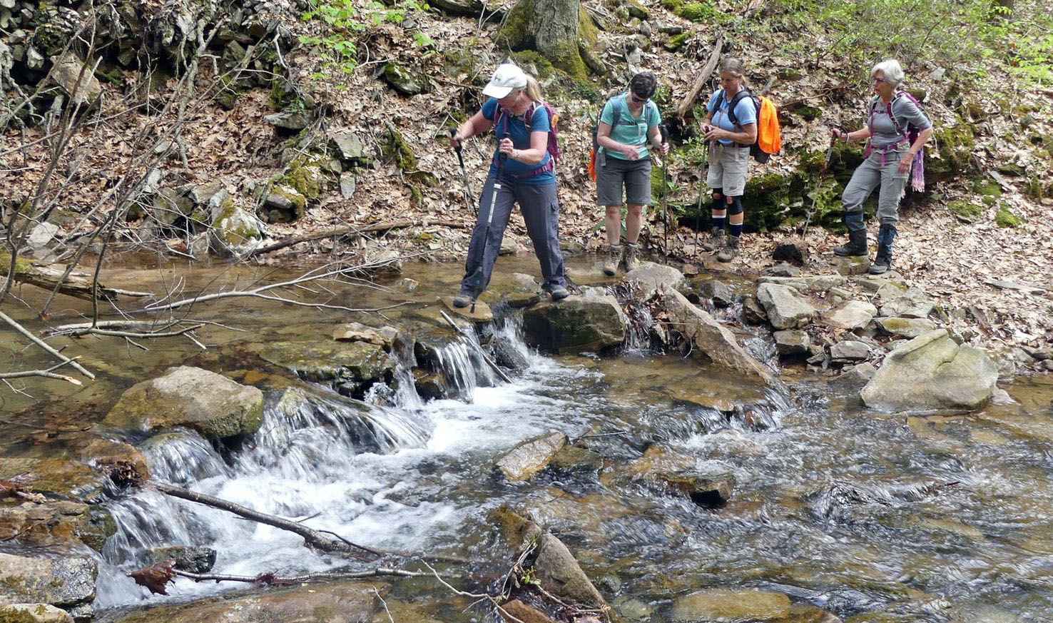 Standing Stone Trail, PA