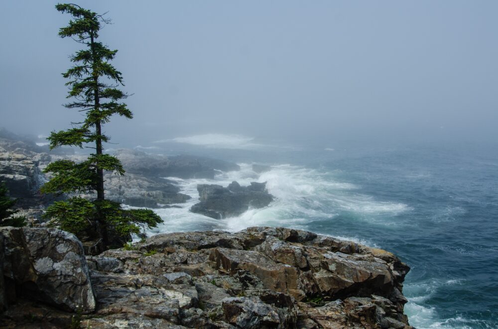 Acadia National Park