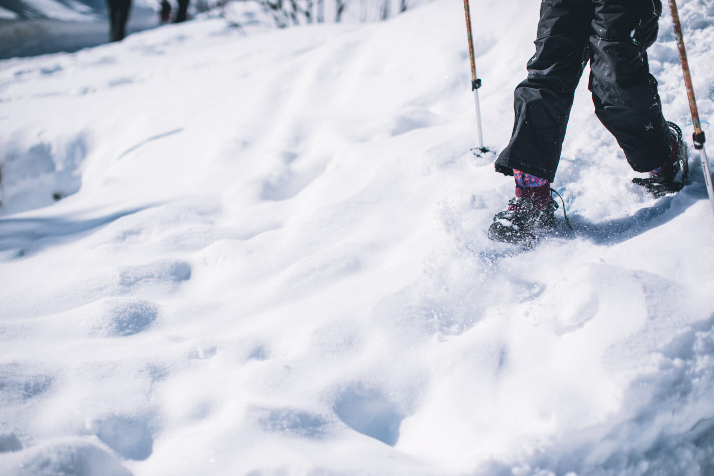Snowshoeing 101 Tips and Tricks for Beginners Appalachian Mountain Club