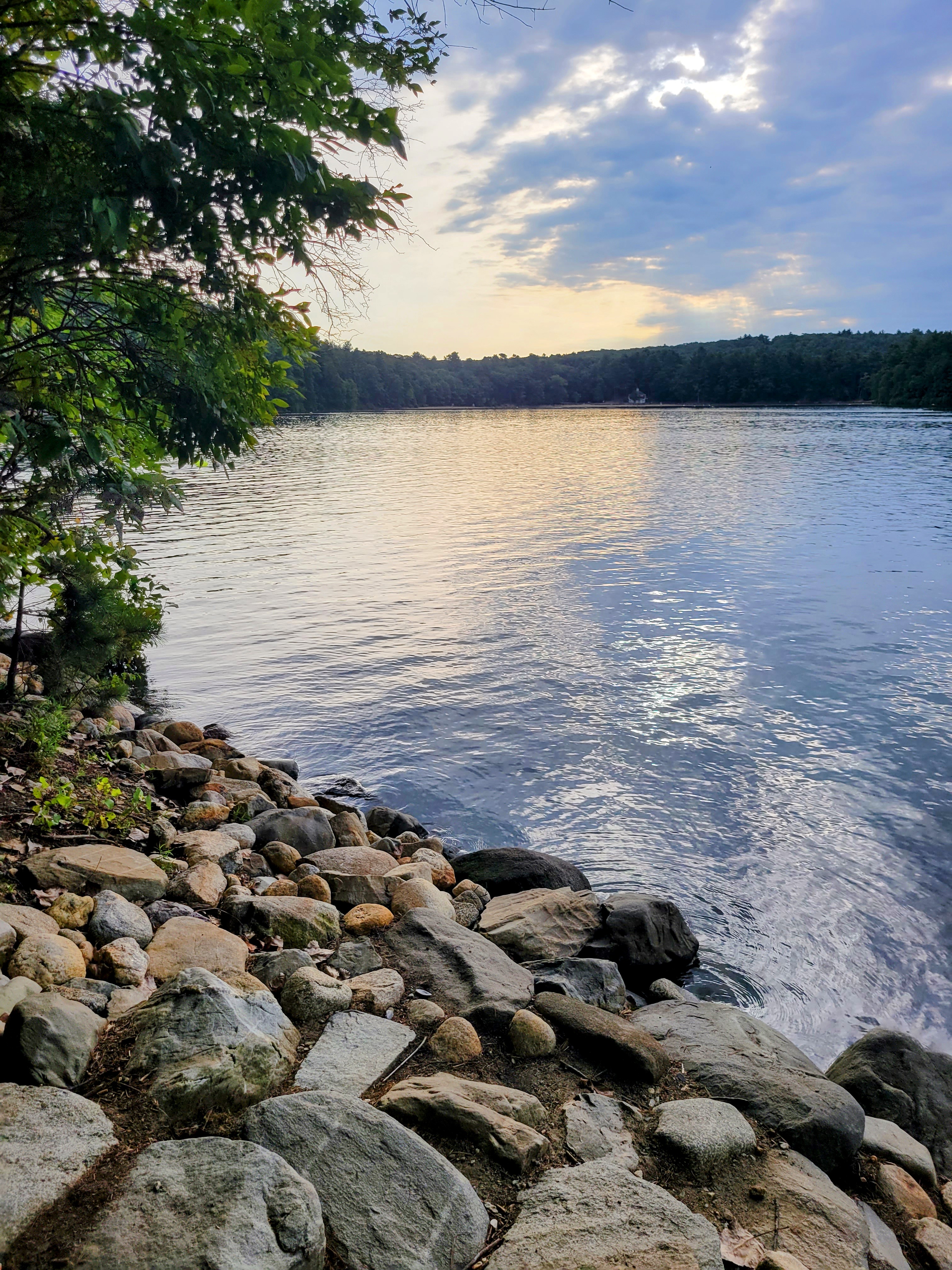 Dawn at Walden Pond, concord, ma