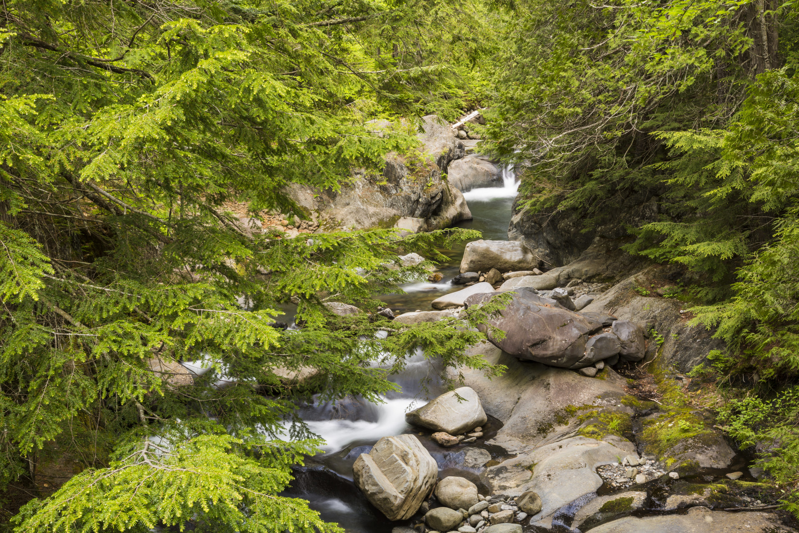 Jun. 15, 2017. Pleasant River, Northeast Piscataquis, Maine– Photo by Jerry Monkman. Jun. 15, 2017. Pleasant River, Northeast Piscataquis, Maine-- Photo by Jerry Monkman.