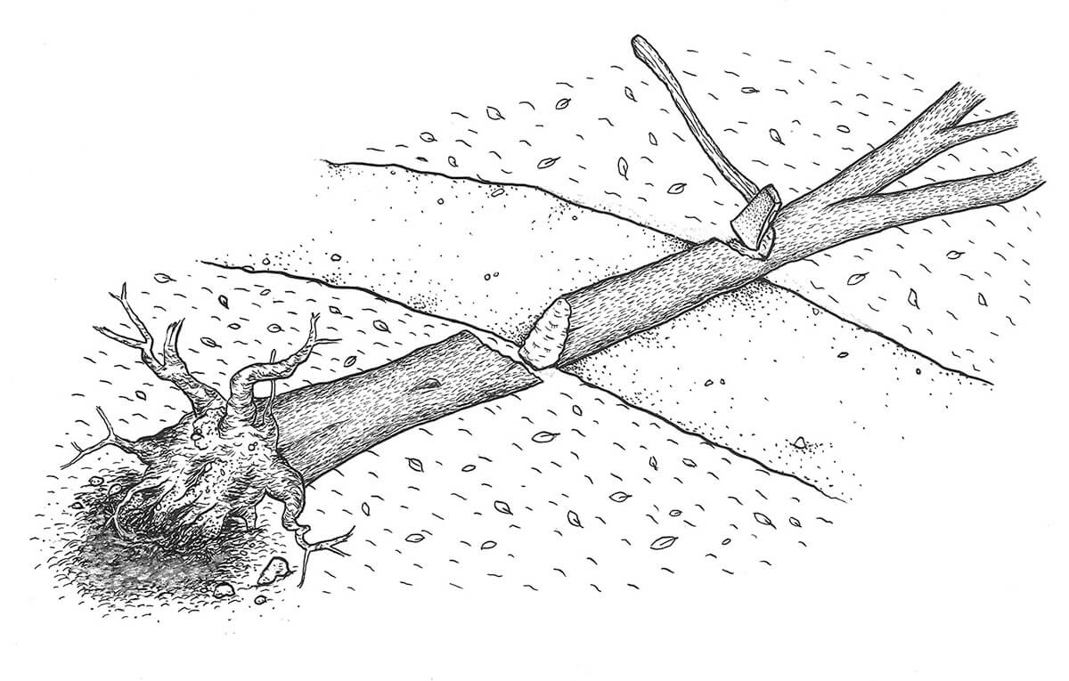 8.38 Clearing Blowdown