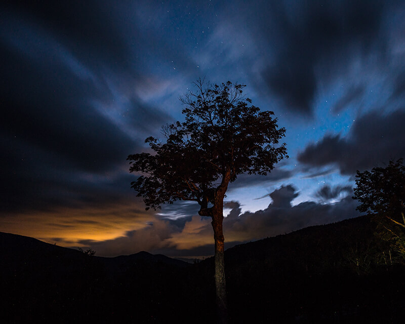 Pc2021 Butterworth Corey The Color Of Dusk