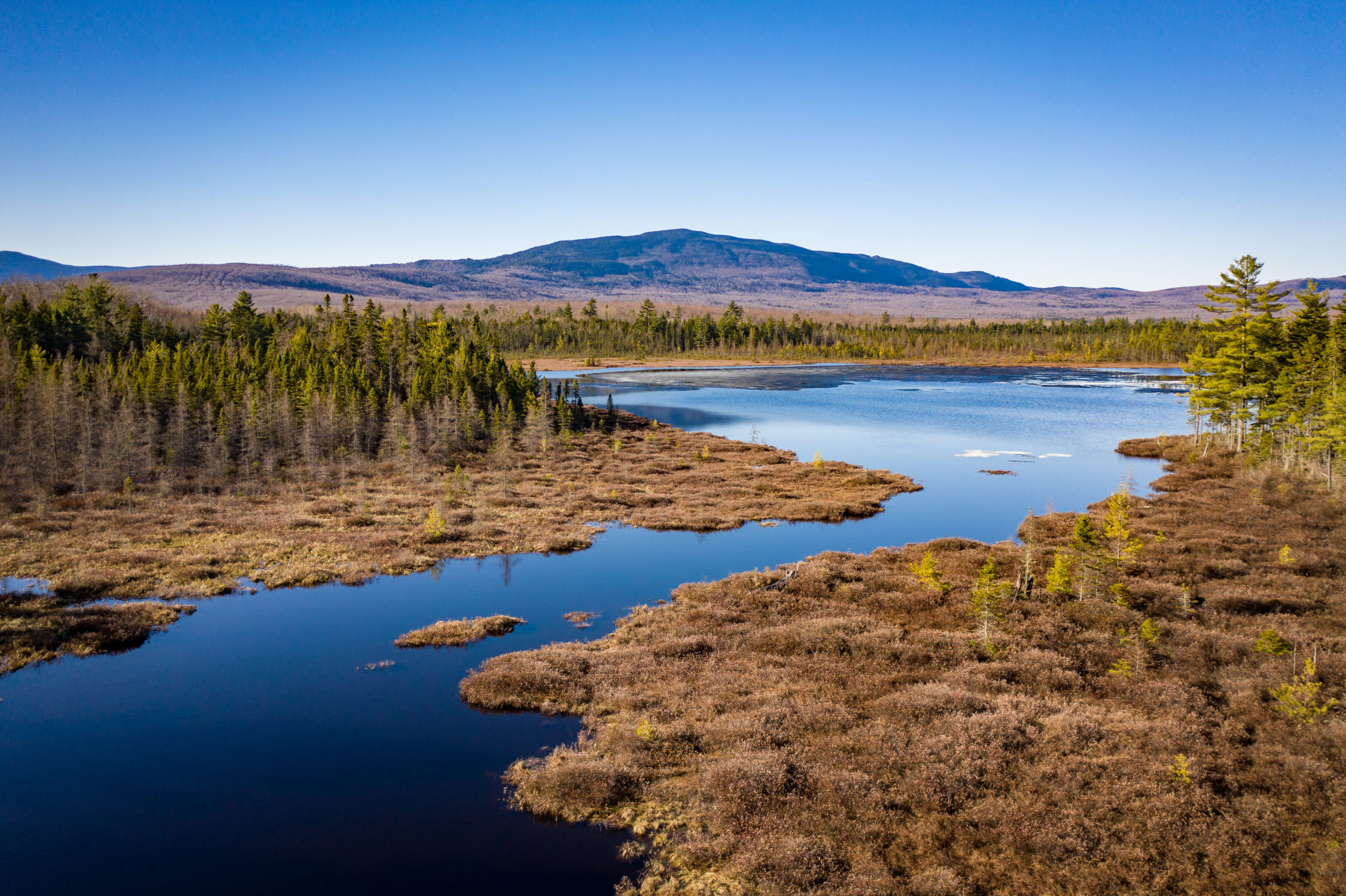 May 2, 2019. Pleasant River Headwaters Forest, Maine-- Photo by Isaac Crabtree. Dan Rinard