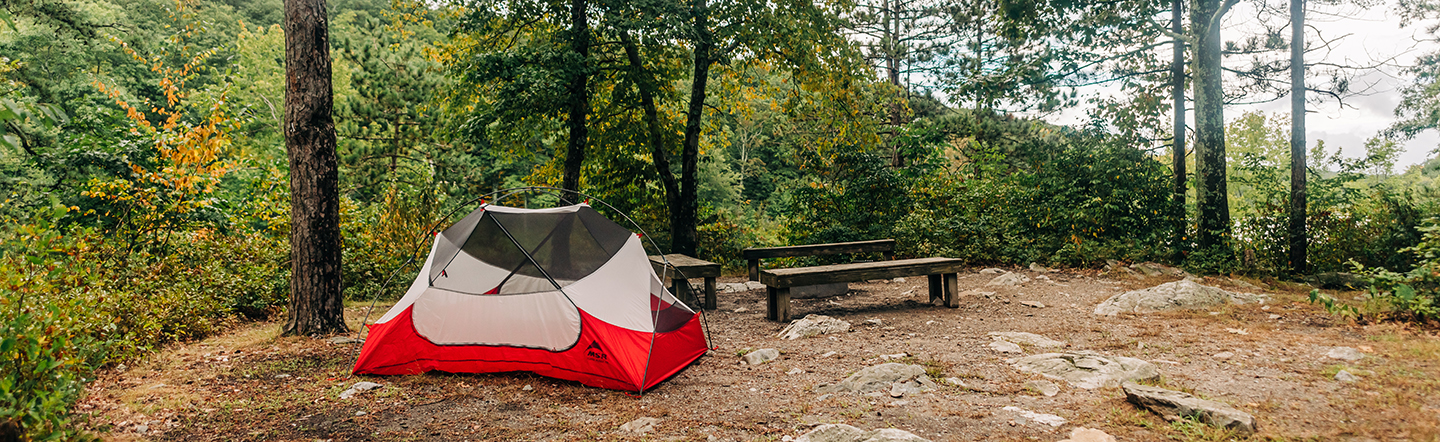 Aug. 22, 2022. AMC Mohican Outdoor Center, Delaware Water Gap National Recreation Area, New Jersey-- Photo by Corey David Photography. mohican campsites