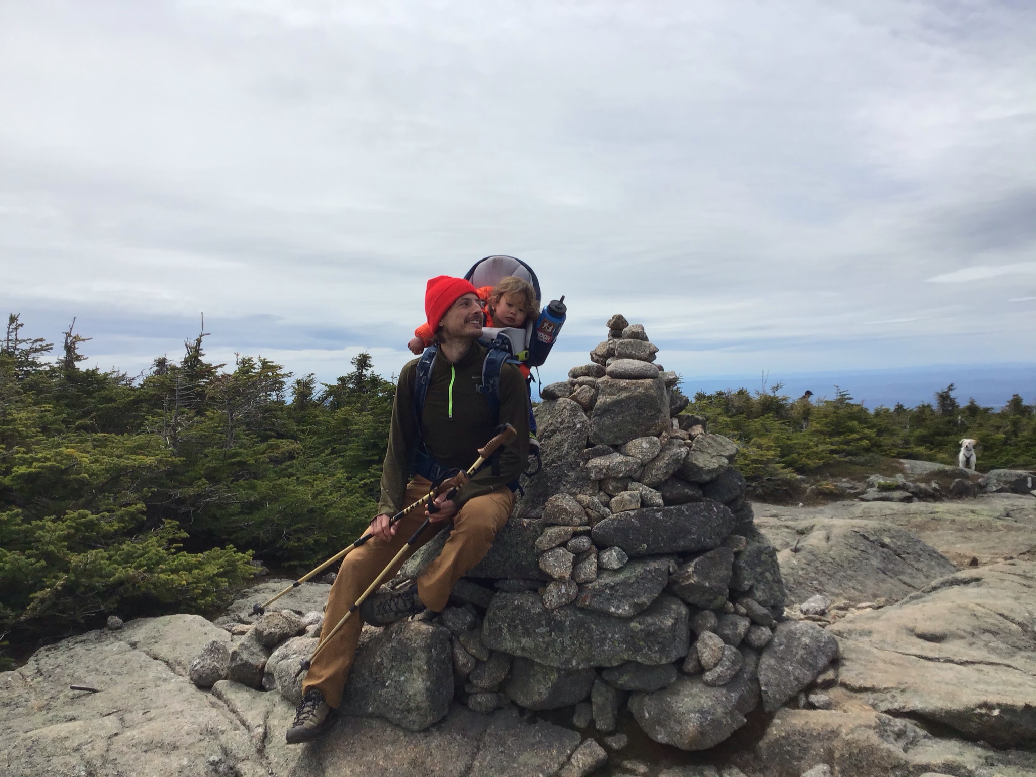 Kurczy Sitting By Cairn 2699