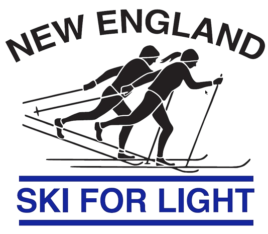 Sfl Logo Removebg Preview