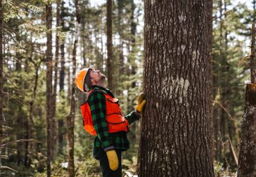 Steve Tatko stands looking up at a tree.