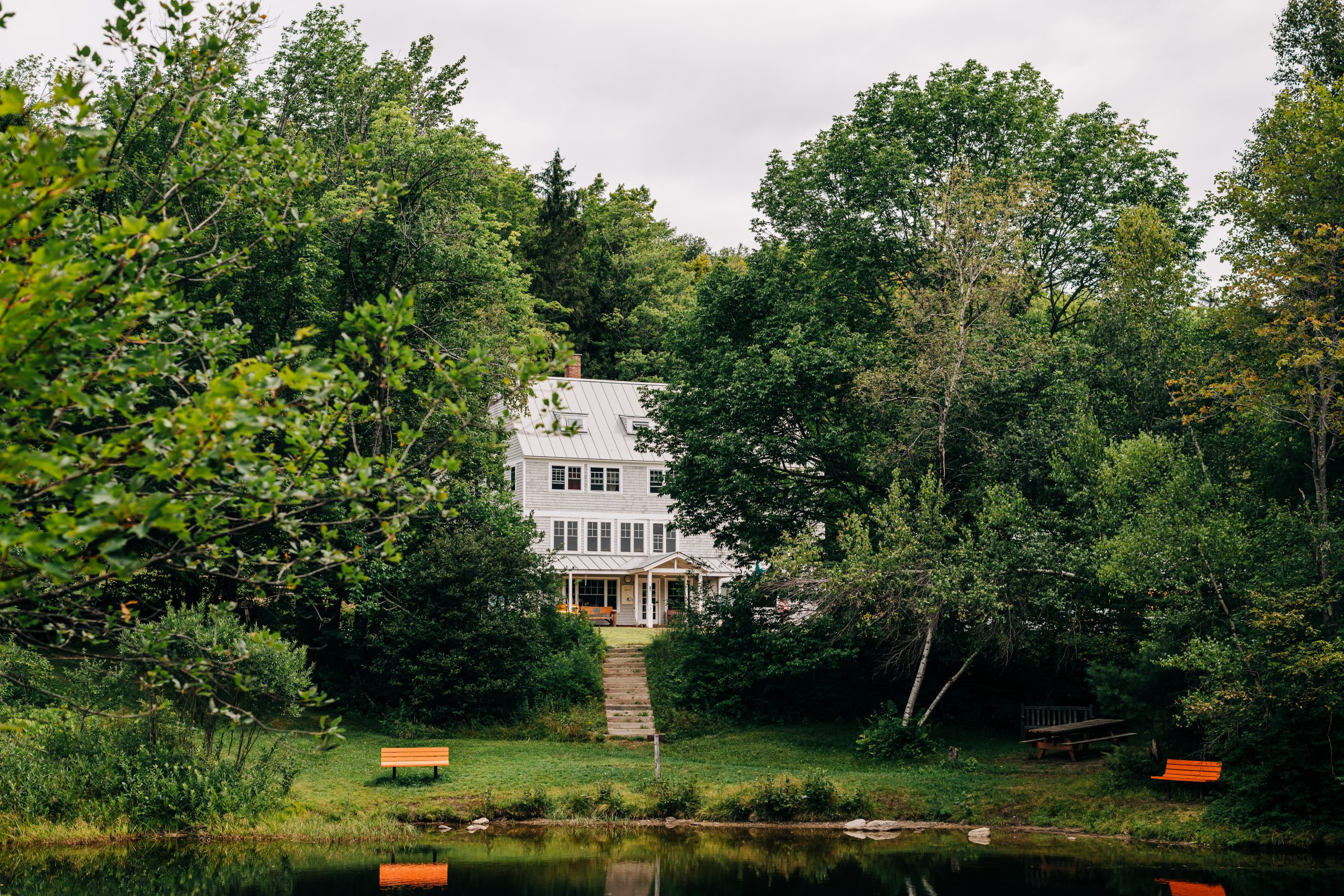 Cardigan Lodge's white front with black shutters peeking through the trees in front of the pond.