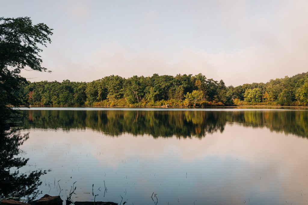 Still lake with trees mirrored in the water's surface.