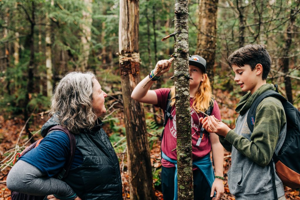 Students looking at trees in an AMC Mountain Classroom program.