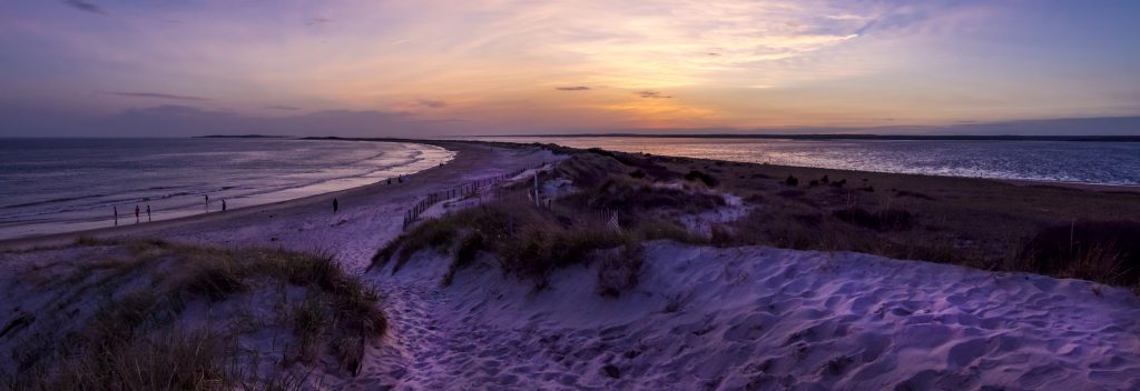 purple and yellow sunset over beach dunes.