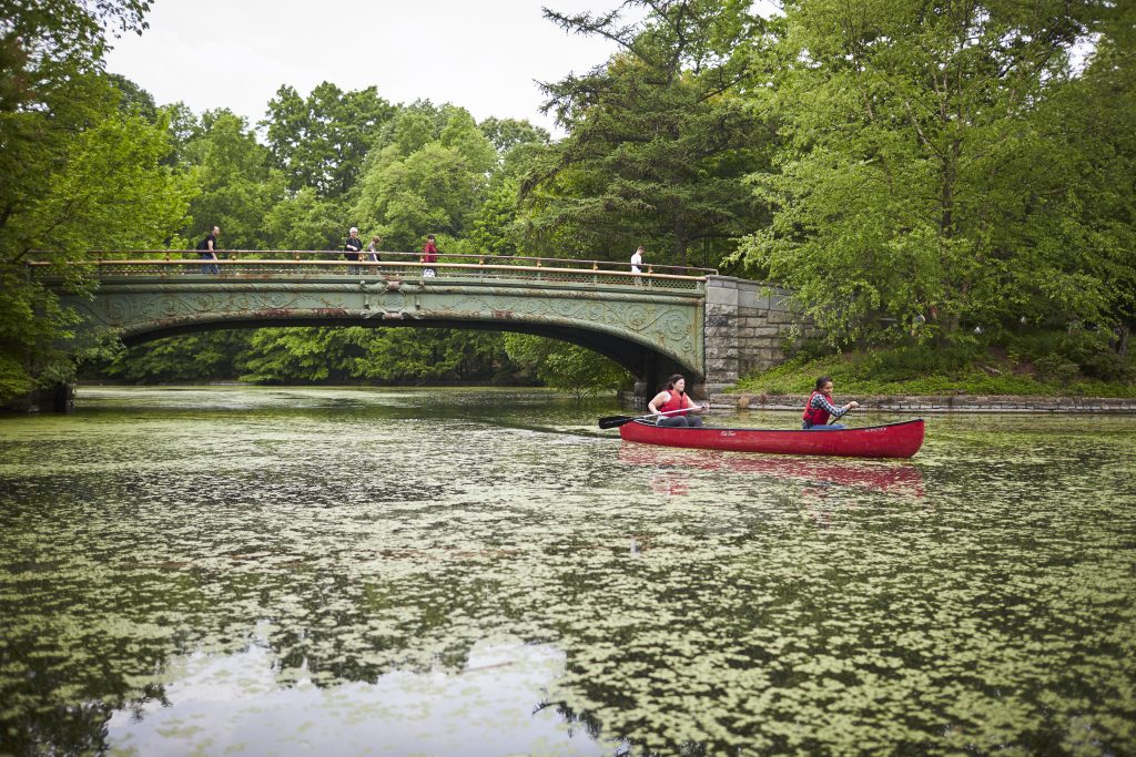 Paddlers on a lilypond.
