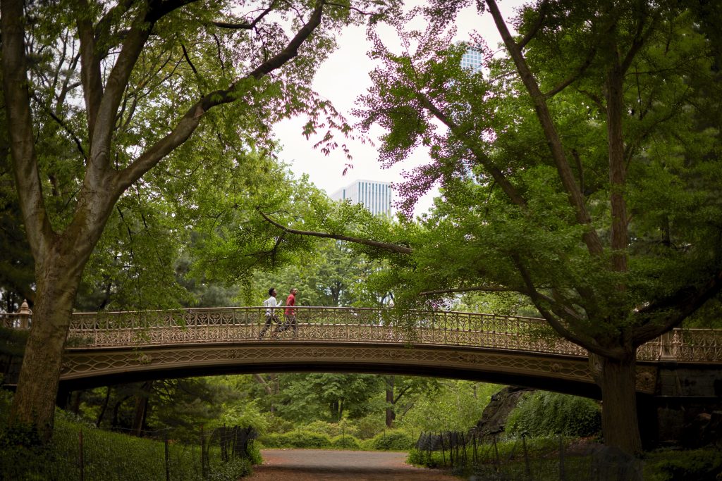 People walking over a bridge in Central Park