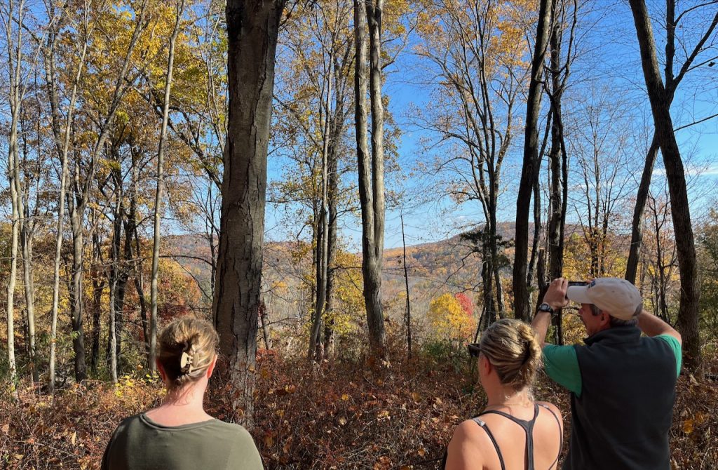 Three hikers looking out over a mountain view in fall.