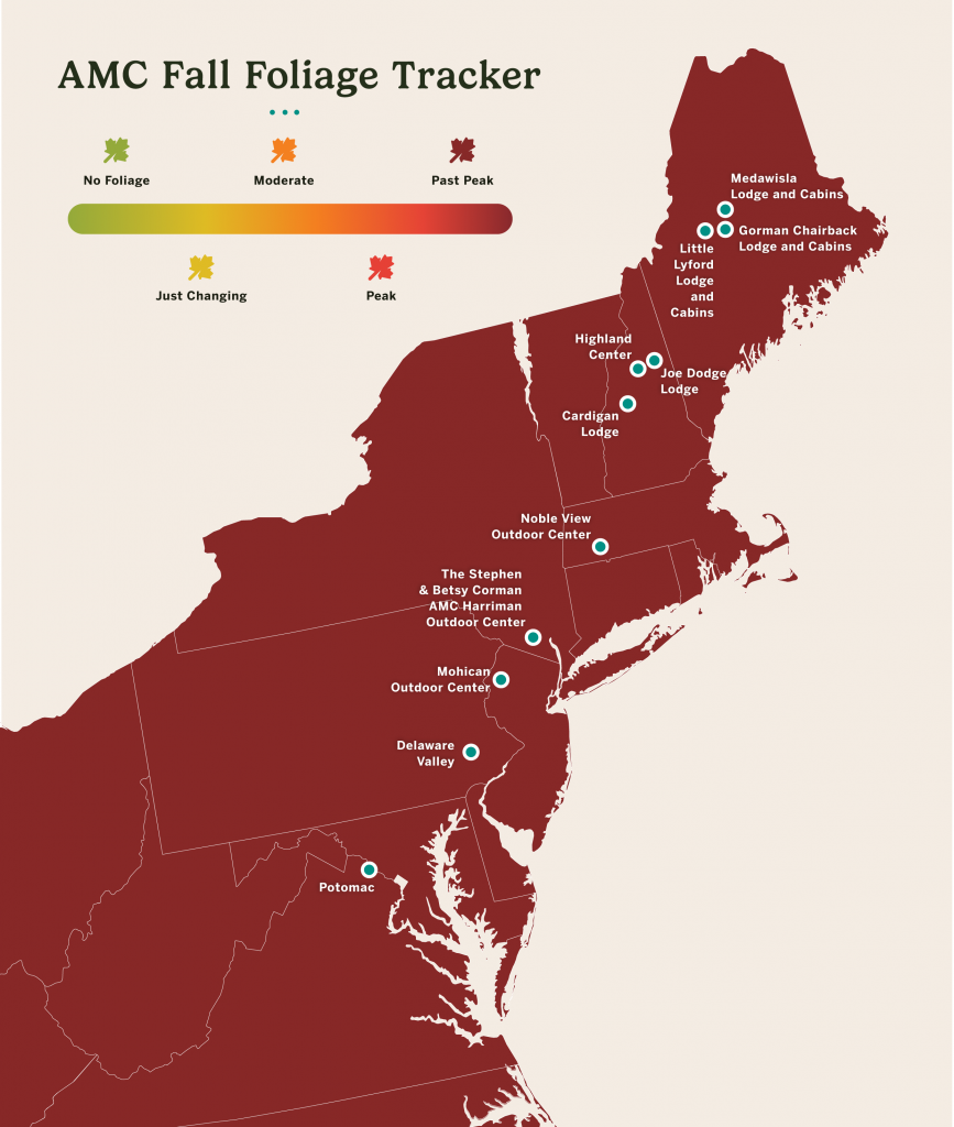 Map of AMC region shaded in dark red.