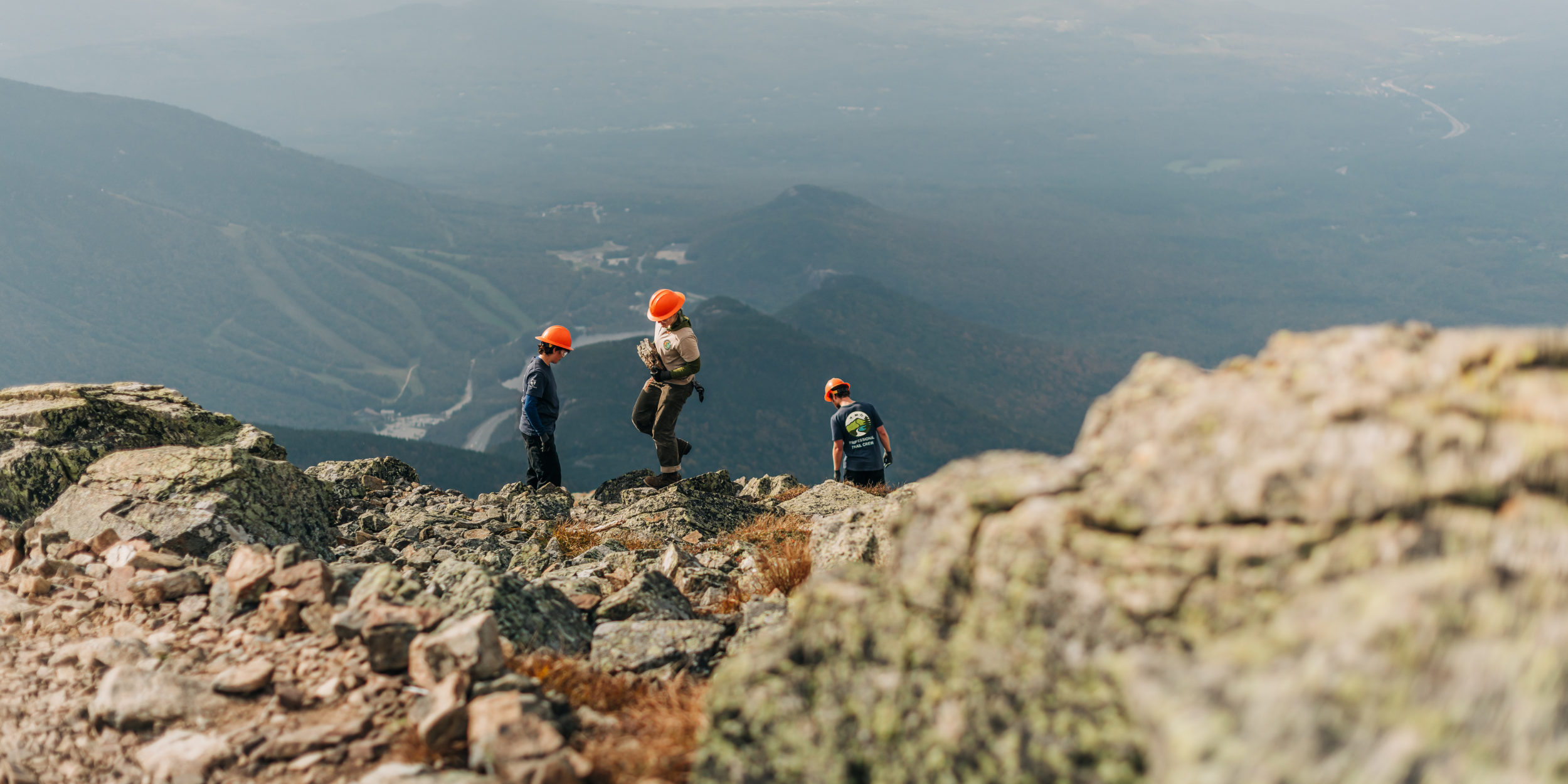 Fall Appeal Web Header