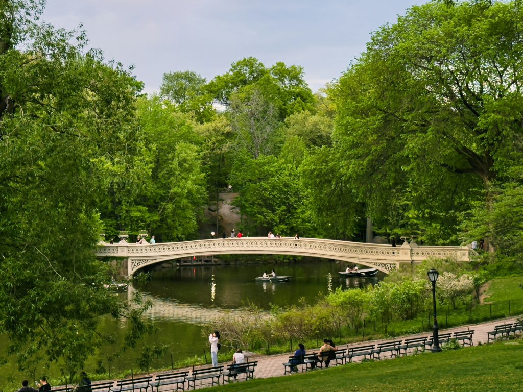 Central Park pedestrian bridge over pond.