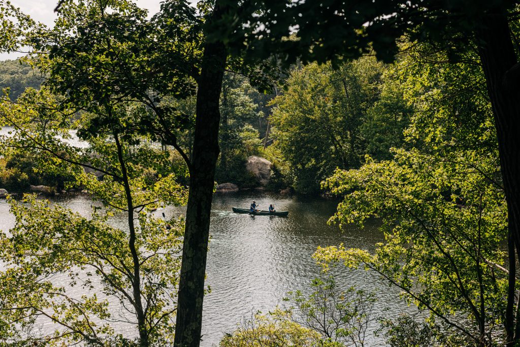 People paddling on a lake surrounded by trees.