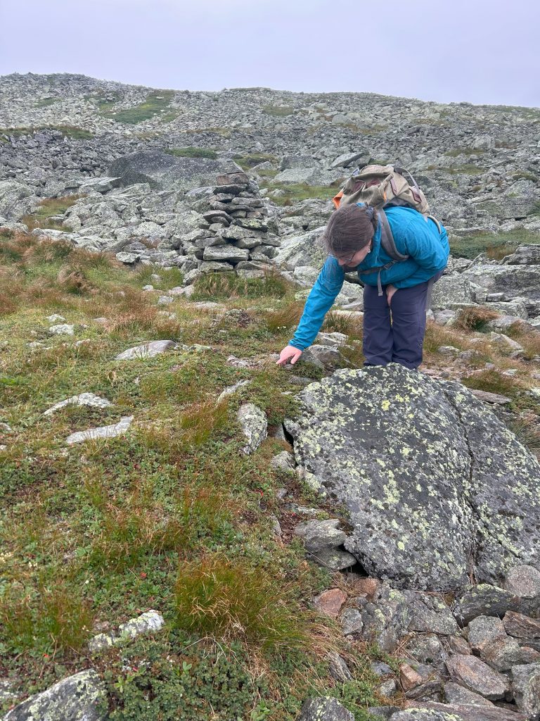 Georgia Murray bends over to point to an alpine plant. She's wearing a blue jacket and a backpack.