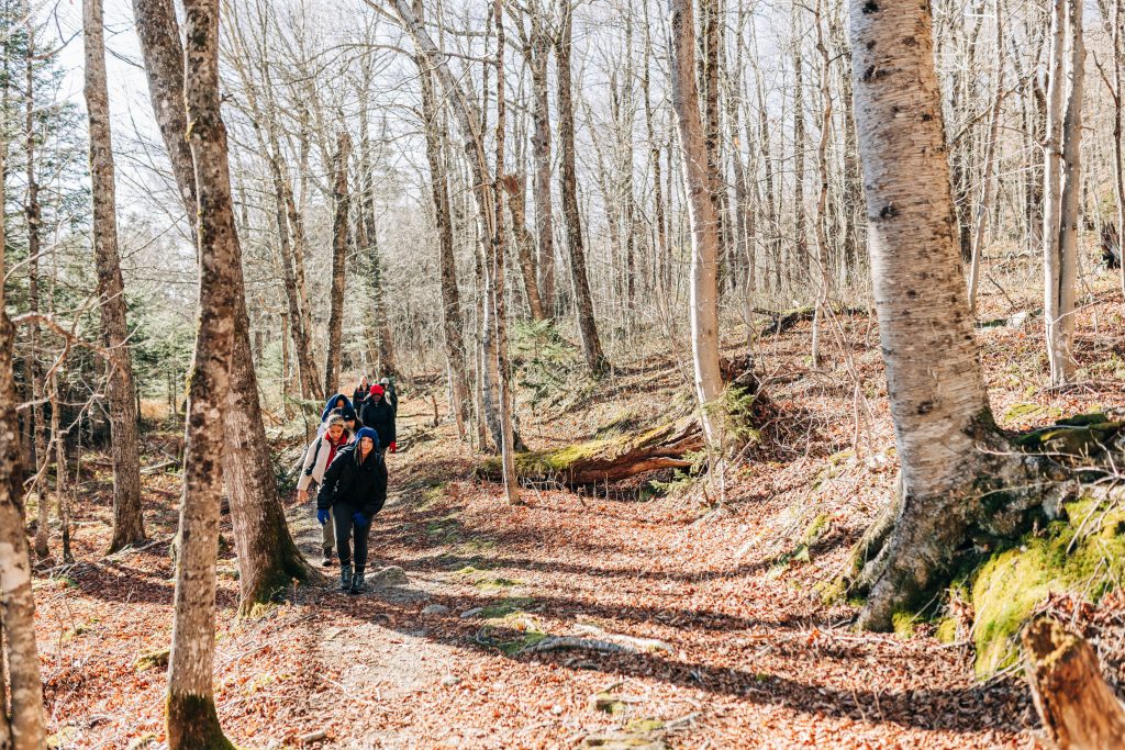 Hikers in the trees with leaves on the ground.