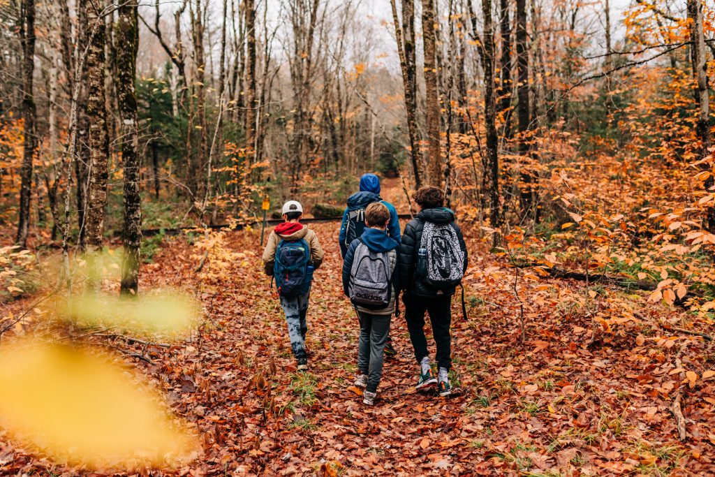 Three people hiking on a carpet of leaves, surrounded by bare trees.