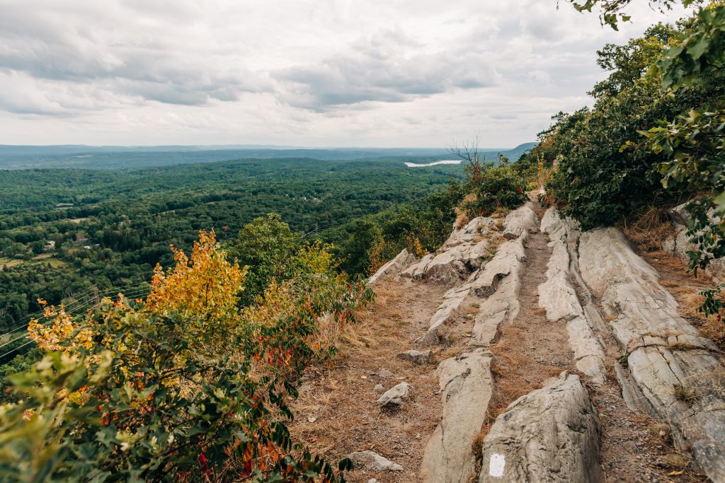 Ridge with late fall foliage and a view of mountains in the background.