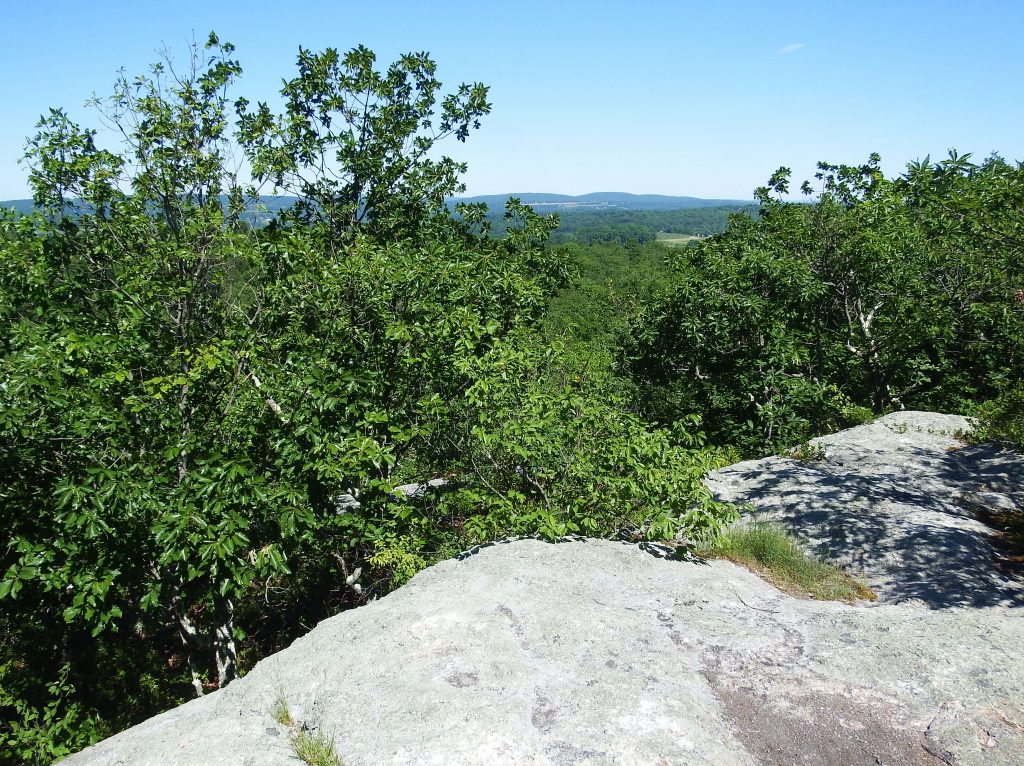 View from Bear Rock -- a granite ledge surrounded by leafy green trees.