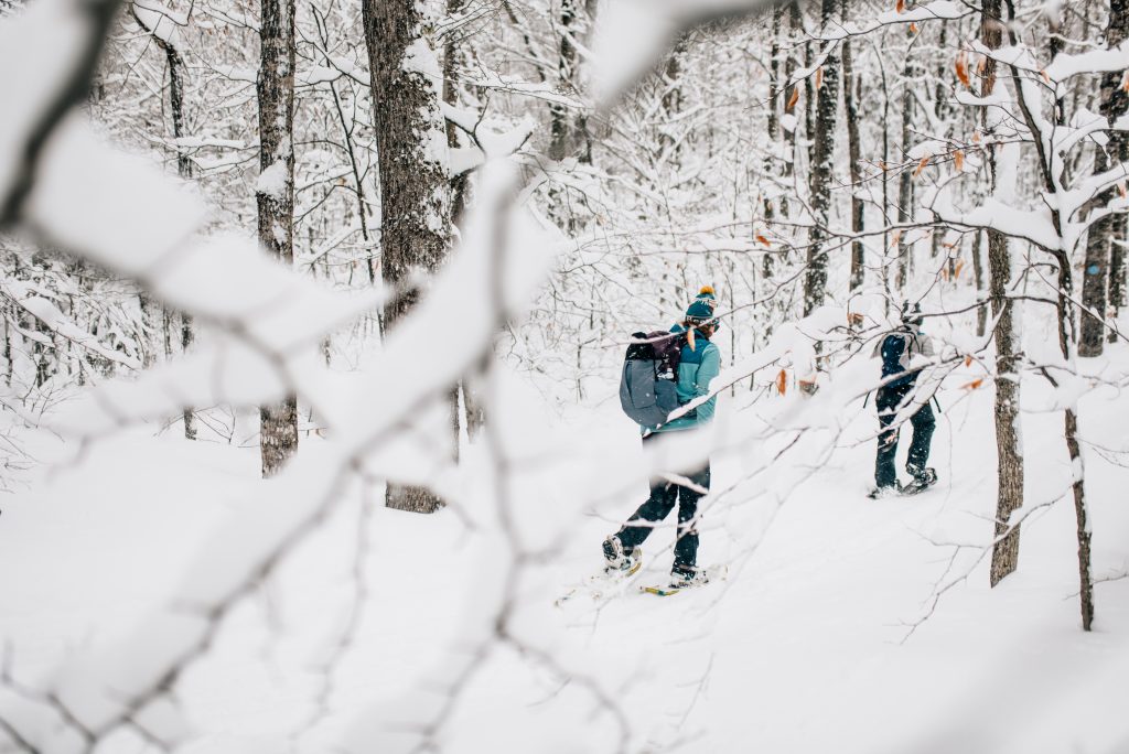 People snowshoeing on a snowy hike in the woods.