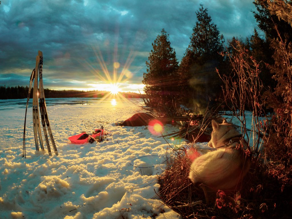 A snowy winter camping scene, with a dog, skis, and a pulk sled in front of the setting sun.