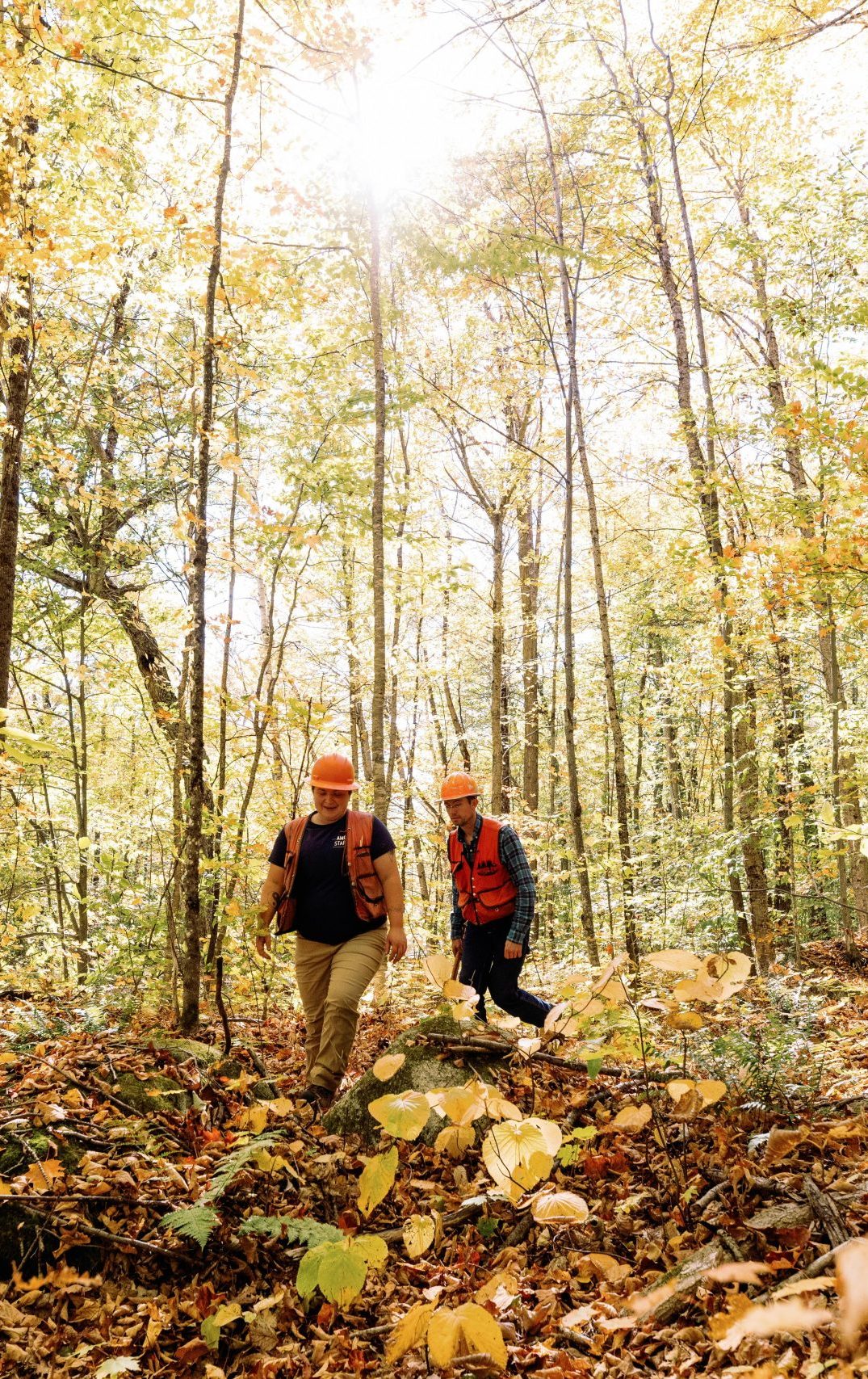 October 7, 2025. Barnard Forest, Maine Woods, Maine-- Photo by Warden Co. October 7, 2025. Barnard Forest, Maine Woods, Maine Photo By Warden Co.