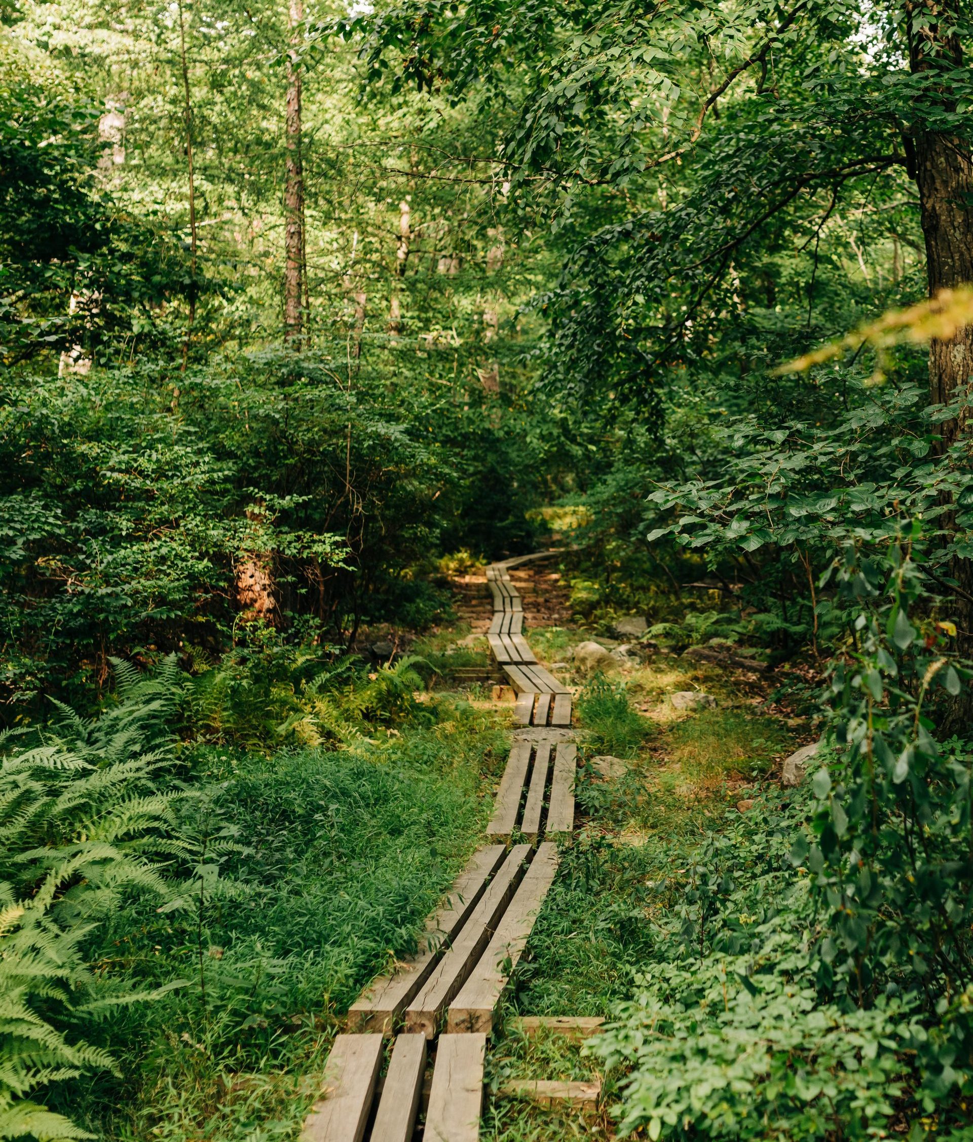 Aug. 21, 2022. AMC Mohican Outdoor Center, Delaware Water Gap National Recreation Area, New Jersey-- Photo by Corey David Photography. Corey David Photography