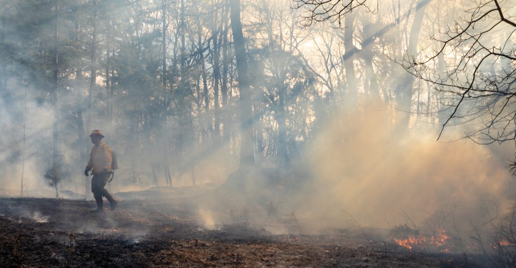 Clouds of smoke rise from a small fire in the woods while a firefighter walks in the background