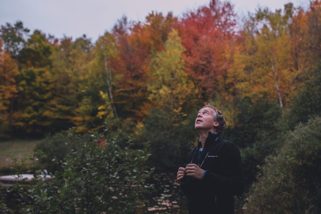 A person looks up at the sky while surrounded by fall foliage