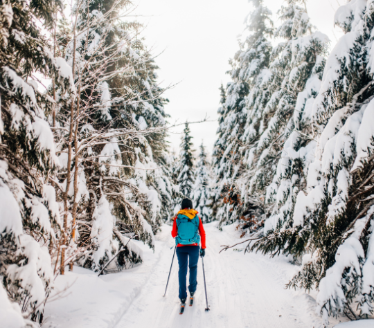 Mwi Lyford Gorman Itinerary