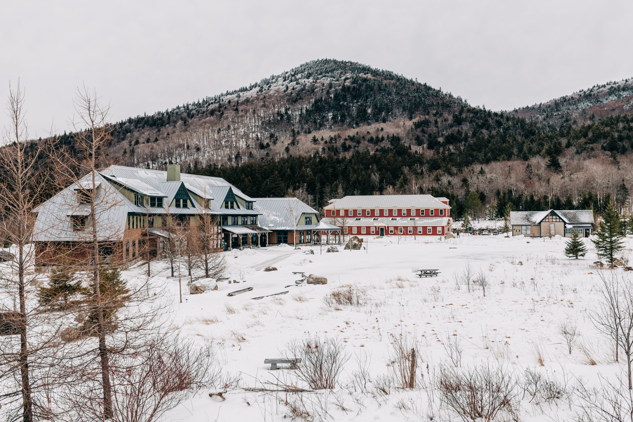 Corey David Photography