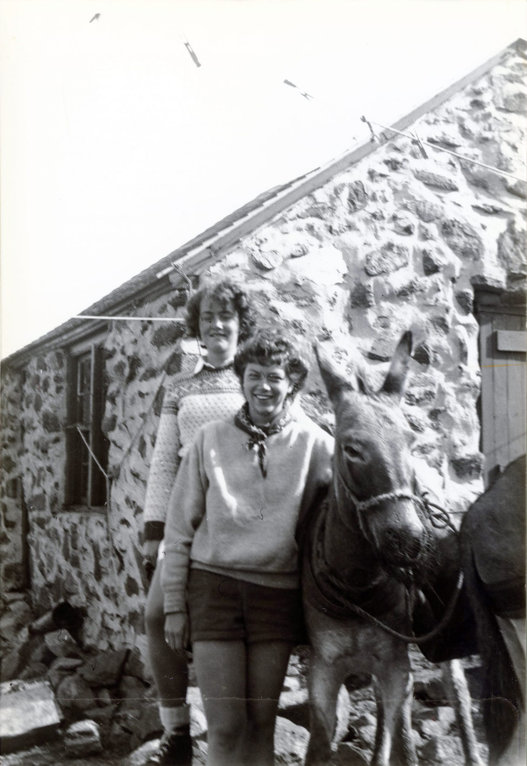 Ann Dodge And Mary Louise Sawyer (front) With A Donkey At Madison Spring Hut 1945 650ppi Amc