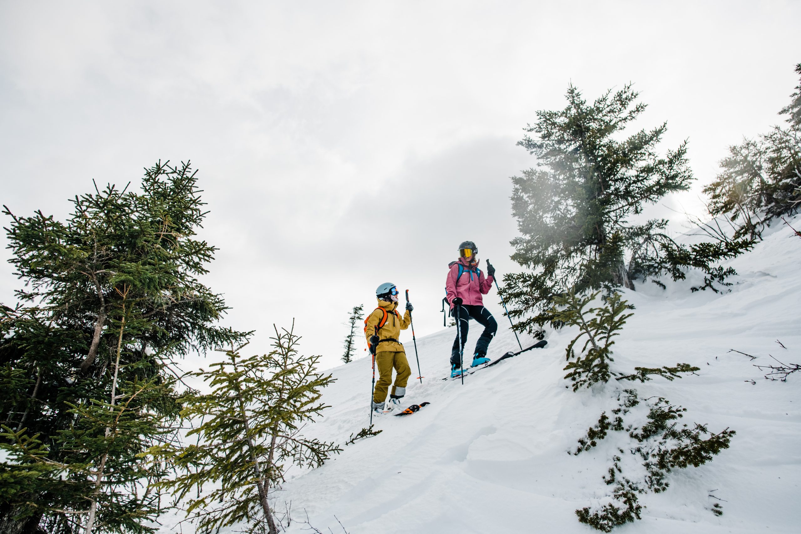 Two skiers skinning up Mt. Cardigan