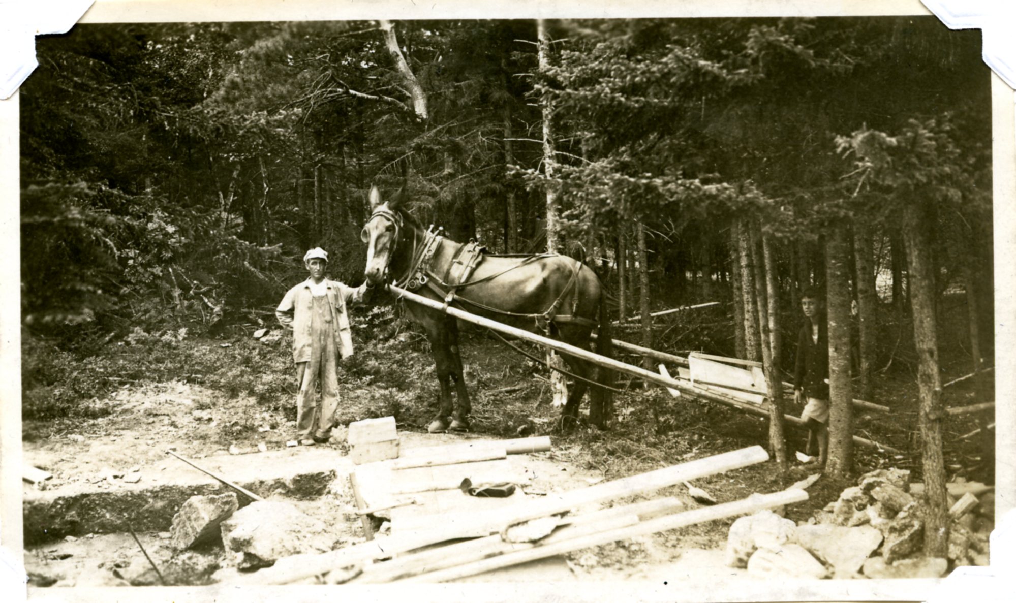 Cardigan Hi Cabin Mary The Mule Hauling Cement And Sand Aug 1931