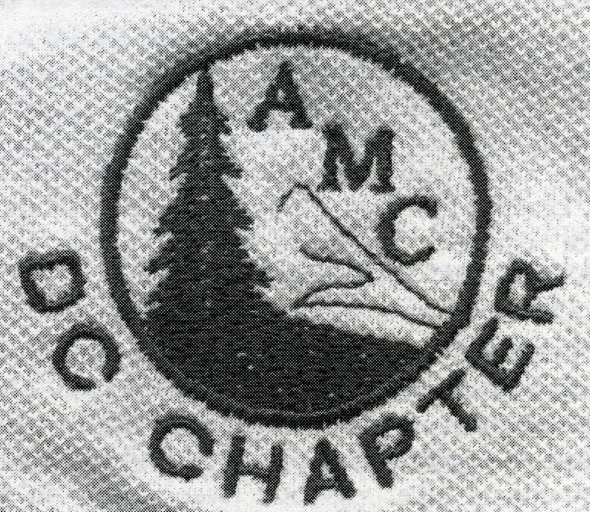 1984 Amc Potomac Washington Dc Chapter Patch991