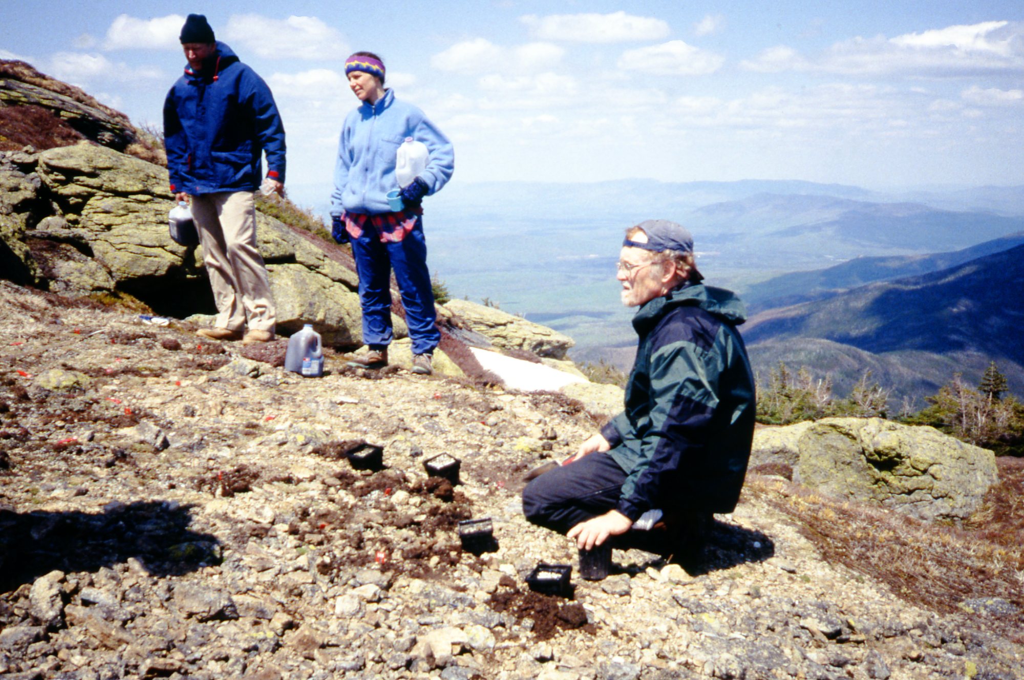 1996 Amc Research Director Ken Kimball (r) And Team Planting Potentilla Starts 1996 Sl5001.1996.0029