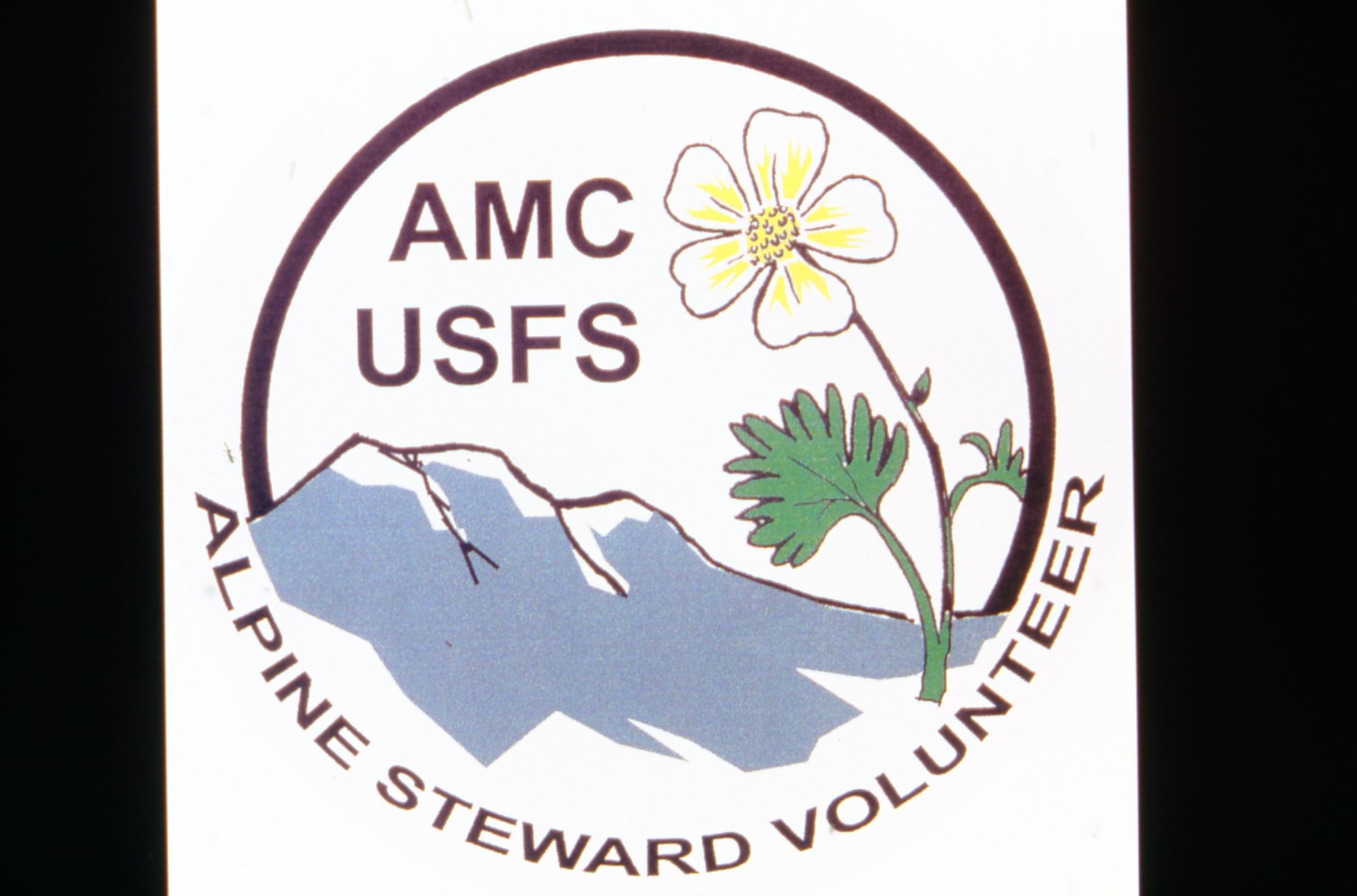 2000 Amc Usfs Alpine Steward Volunteer Logo 2002